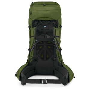 10002952()53AETHER 65 GARLIC MUSTARD GREEN_3_P.JPG