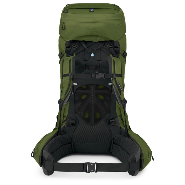 10002952()53AETHER 65 GARLIC MUSTARD GREEN_3_P.JPG