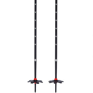 111592TRAVERSE SKI POLES_3_P.JPG