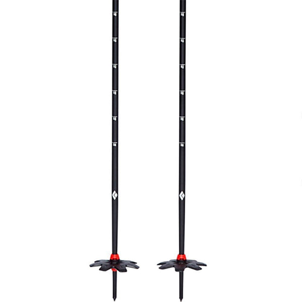 111592TRAVERSE SKI POLES_3_P.JPG