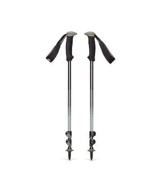 112548TRAIL BACK TREKKING POLES AZUR.JPG