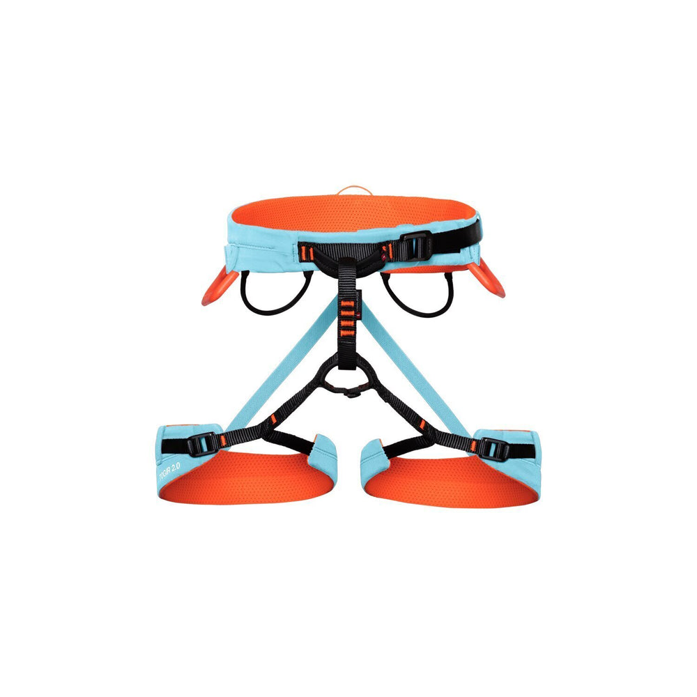 2020-01060TOGIR 20 3 SLIDE HARNES COOL.JPG