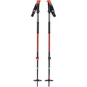 111592TRAVERSE SKI POLES.JPG
