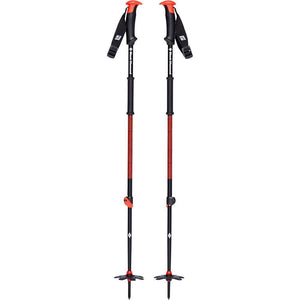 111592TRAVERSE SKI POLES.JPG