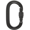 210084OVAL KEYLOCK CARAB.JPG