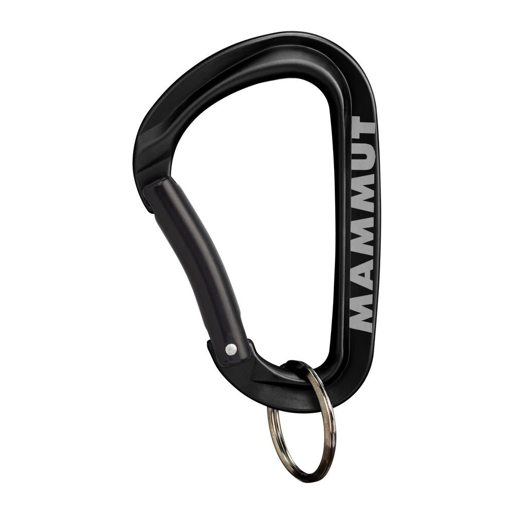2810-00320 MINI CARABINER KEYLOCK L_2_P.JPG