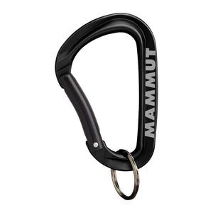 2810-00320 MINI CARABINER KEYLOCK L_2_P.JPG