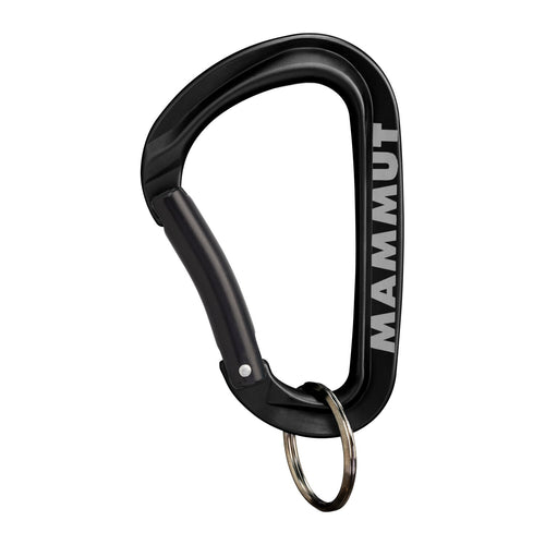 2810-00320 MINI CARABINER KEYLOCK L_2_P.JPG