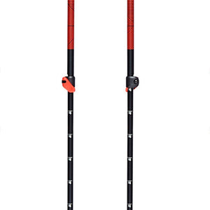 111592TRAVERSE SKI POLES_2_P.JPG