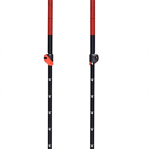 111592TRAVERSE SKI POLES_2_P.JPG