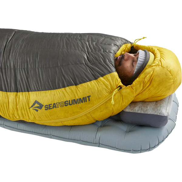 Sea to Summit Sacco a pelo SPARK -18°C 850+ Regular 