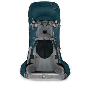 10002964()65ARIEL PLUS 70 NIGHT JUNGLE BLU_3_P.JPG