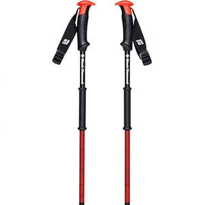 111592TRAVERSE SKI POLES_1_P.JPG
