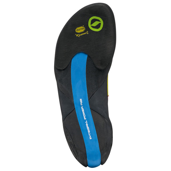 70055-000FURIA S PARROT_6_P.JPG