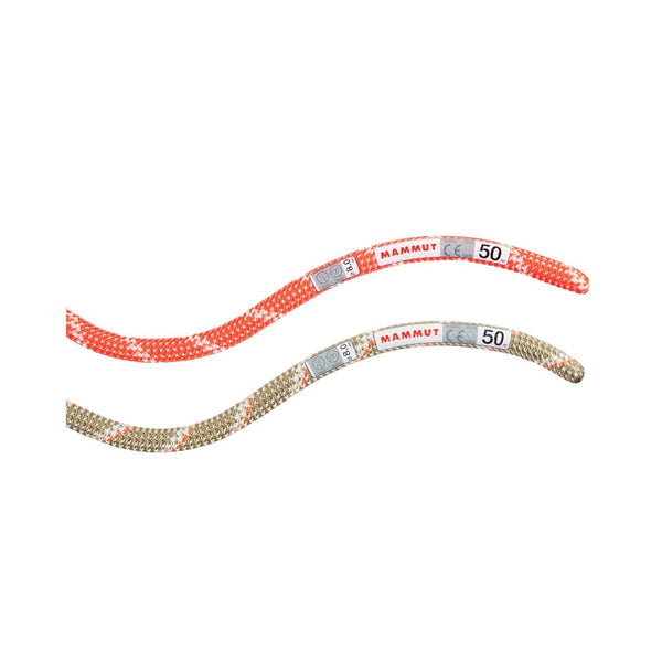 2010-0434080 ALPINE CLASSIC 60MT B_4_P.JPG