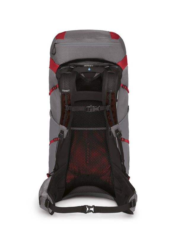 10004716()17EJA 55 DALE GREY POINSETTIA RE_3_P.JPG