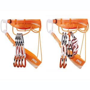 C011AASITTA ORANGE_2_P.JPG