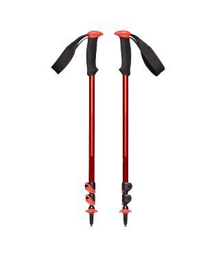 112549TRAIL SPORT TREKKING POLES OCT.JPG