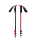 112549TRAIL SPORT TREKKING POLES OCT.JPG