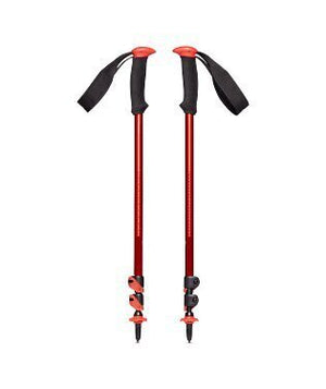 112549TRAIL SPORT TREKKING POLES OCT.JPG