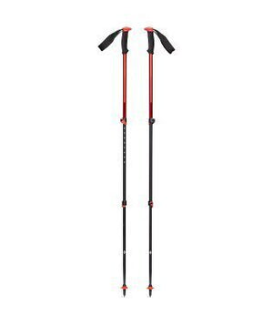 112549TRAIL SPORT TREKKING POLES OCT_1_P.JPG