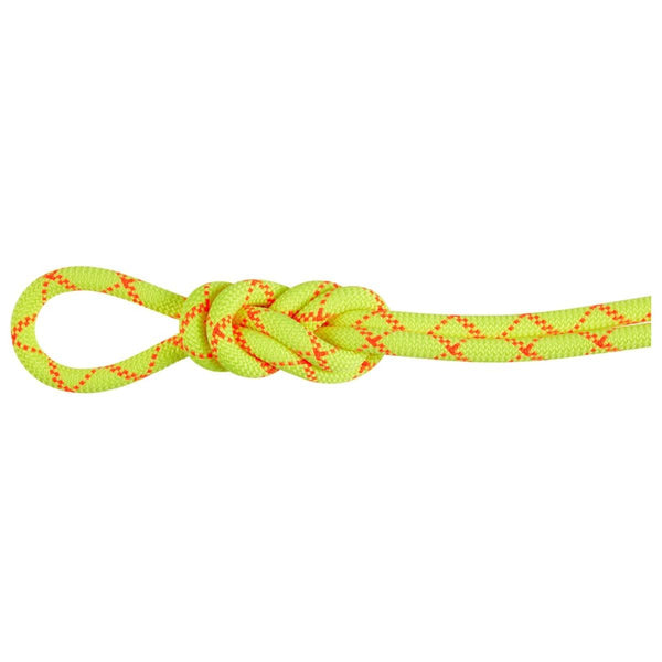 Mammut 9.5 ALPINE Core Protect Dry 70 MT 