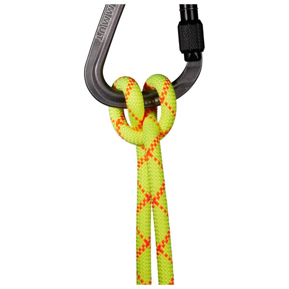 Mammut 9.5 ALPINE Core Protect Dry 60 MT 