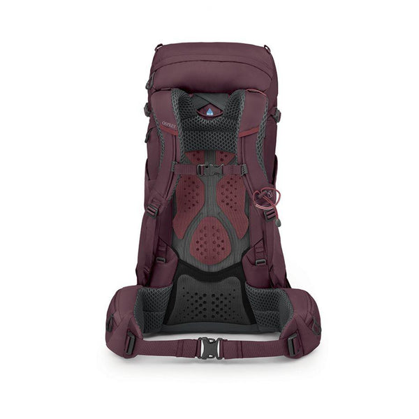 Osprey KYTE 38 Purple 