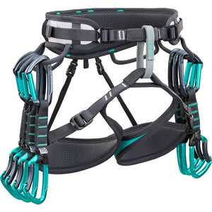 Climbing Technology ASCENT Aquamarine Silver 
