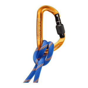 Mammut Sender Screwgate Moschettone a ghiera 