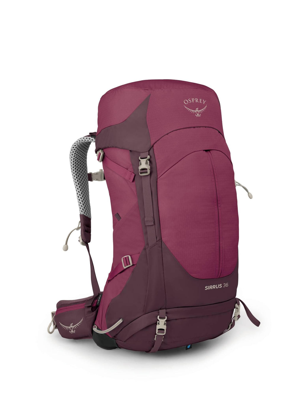 Osprey SIRRUS 36 Edelberry Purple 
