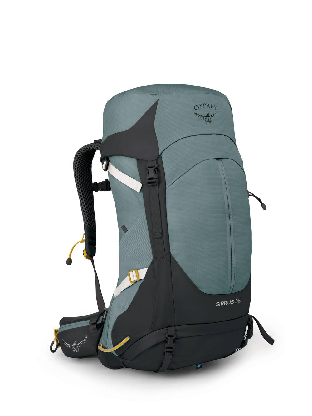 Osprey SIRRUS 36 Succulent Green 