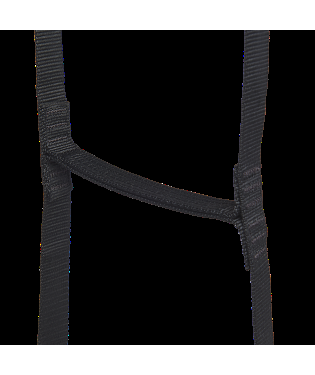 Black Diamond STEPUP 6 Ladder 