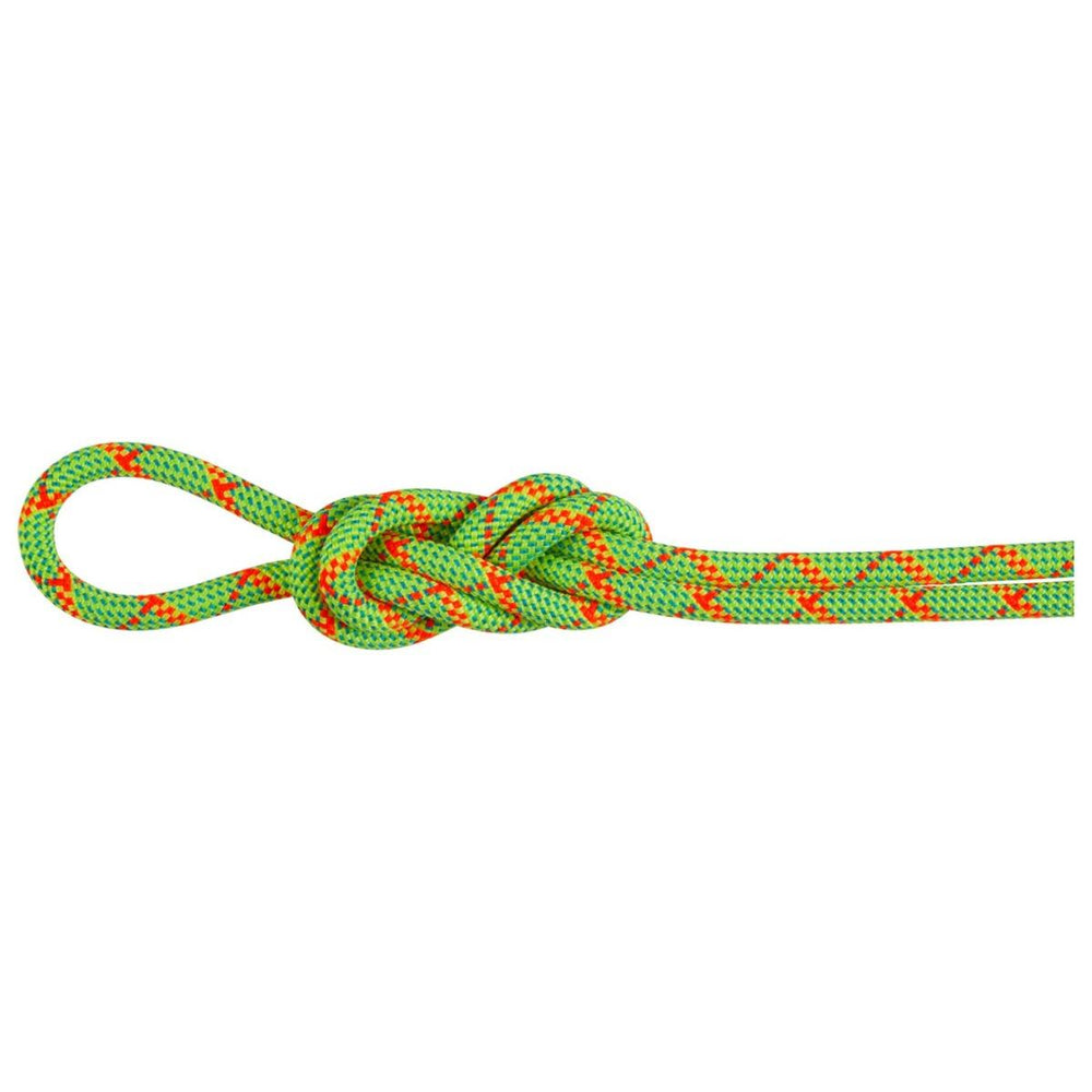 Mammut 8.0 ALPINE Core Protect Dry 60 MT green 