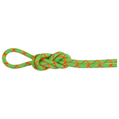 Mammut 8.0 ALPINE Core Protect Dry 60 MT green 