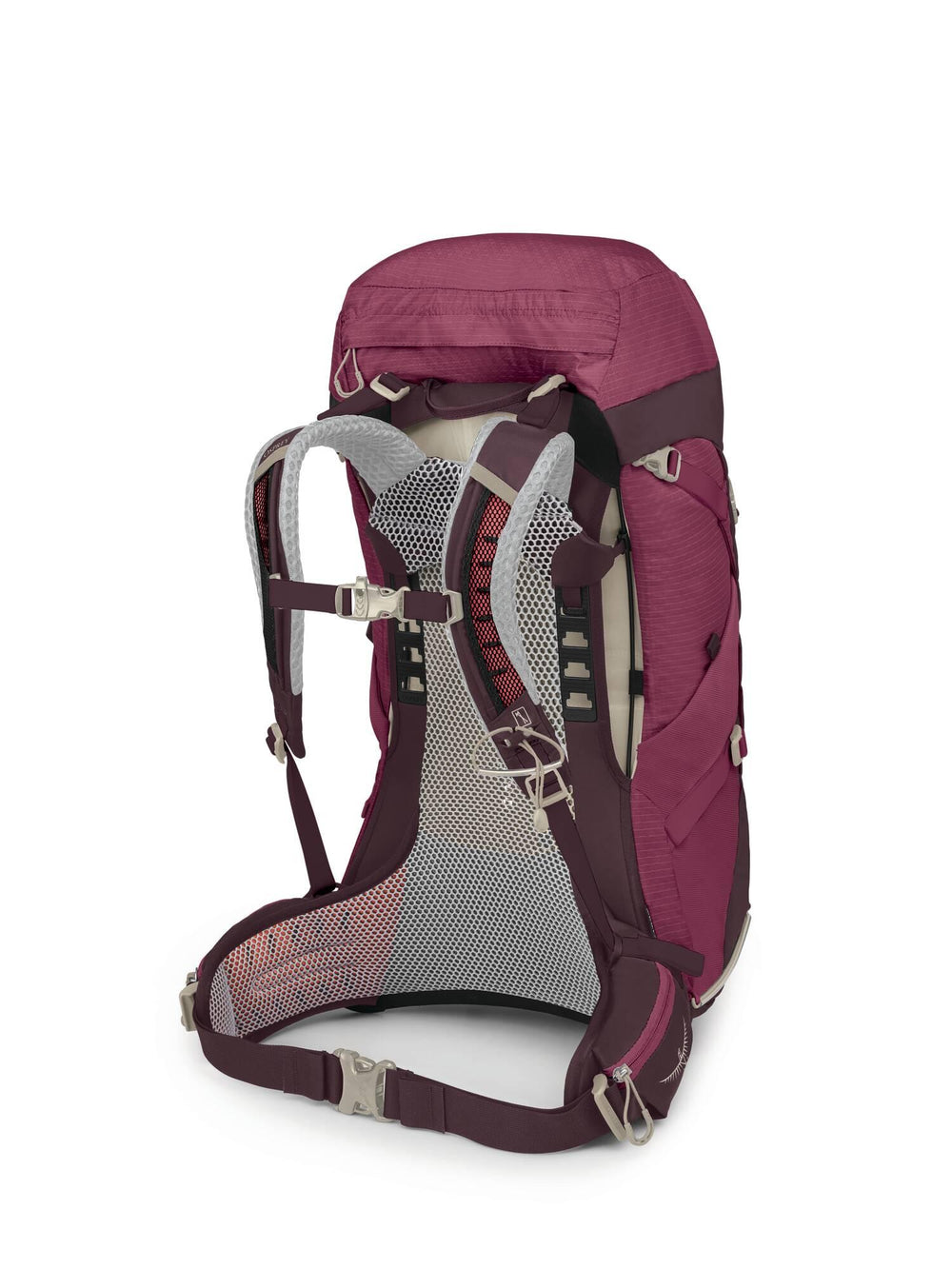Osprey SIRRUS 36 Edelberry Purple 